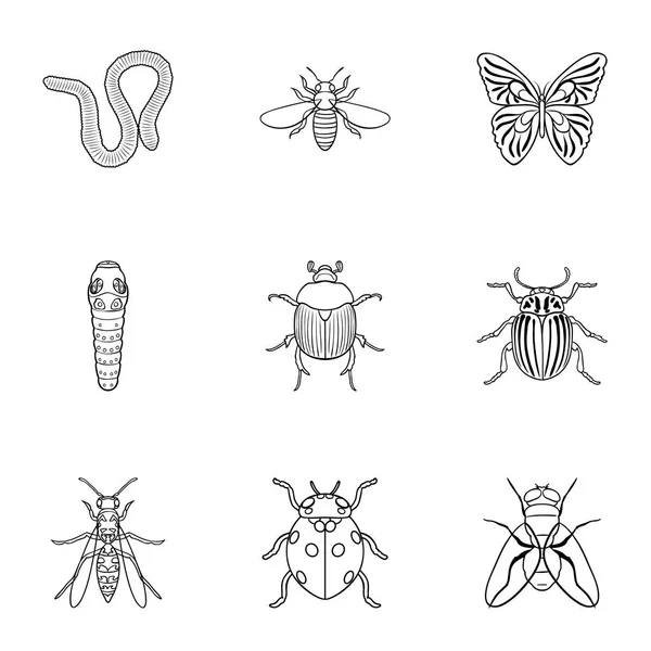 Insectele setează pictograme în stil contur. Colecție mare de insecte simbol vector ilustrație stoc — Vector de stoc