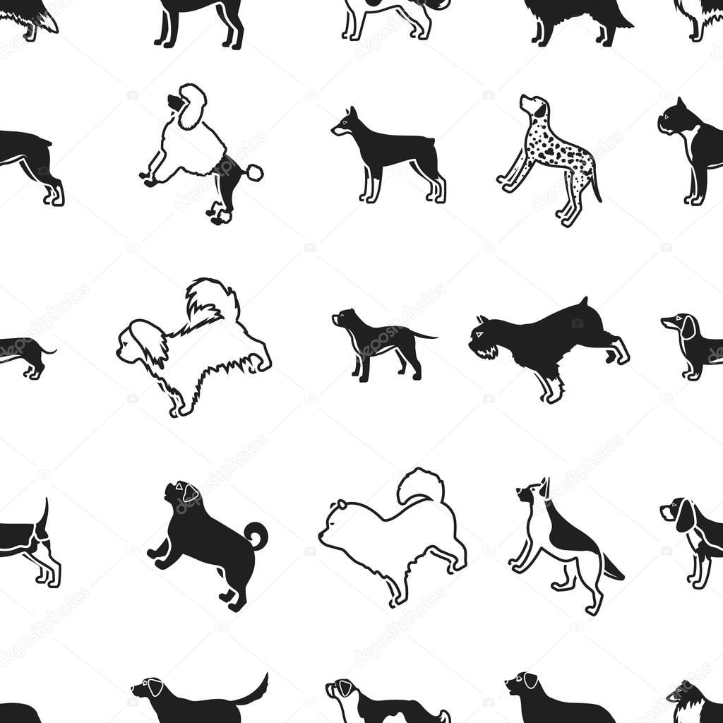 Dog breeds pattern icons in black style. Big collection of dog breeds vector symbol stock