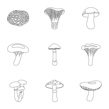 Mantar simgeleri anahat stilinde ayarlayın. Mantar vektör simge stok çizim büyük toplama