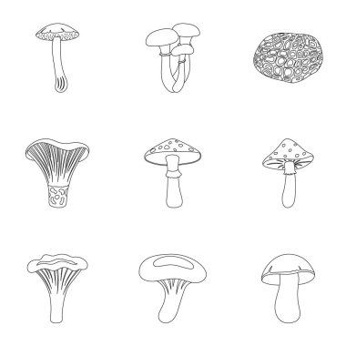 Mantar simgeleri anahat stilinde ayarlayın. Mantar vektör simge stok çizim büyük toplama