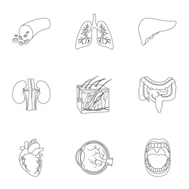 Organları simgeleri anahat stilinde ayarlayın. Büyük koleksiyon organların sembol stok illüstrasyon vektör
