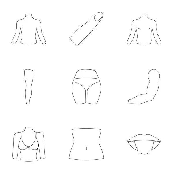 Teil der Körpersymbole im Umrissstil. große Sammlung von Teilen des Körpervektors Symbolstock Illustration — Stockvektor