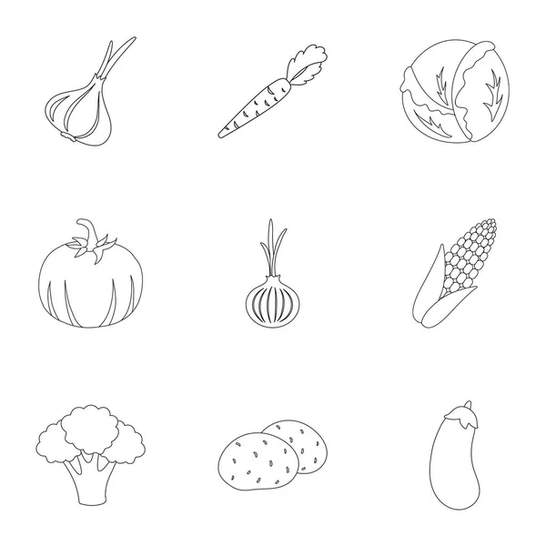 Vegetables set icons in outline style. Big collection of vegetables vector symbol stock illustration — Stock Vector