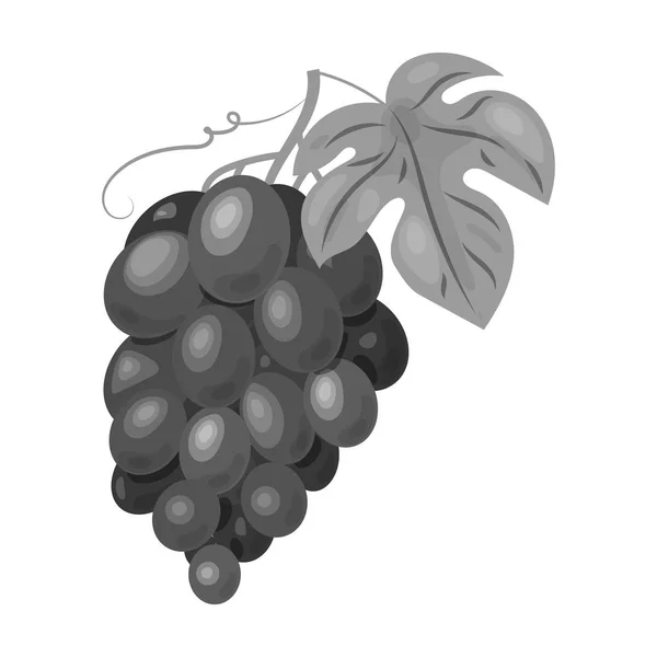 Grappolo d'uva icona in stile monocromatico isolato su fondo bianco. Simbolo di produzione del vino illustrazione vettoriale . — Vettoriale Stock
