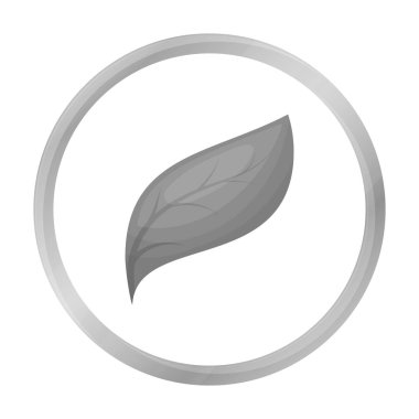 Eko yaprak simgesi beyaz arka plan üzerinde izole anahat tarzı. Biyoloji ve ekoloji sembol stok vektör çizim.