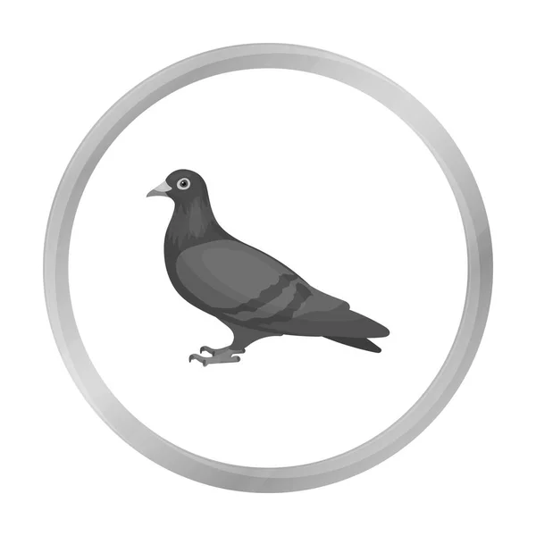 Icono de paloma en estilo monocromo aislado sobre fondo blanco. Pájaro símbolo stock vector ilustración . — Vector de stock