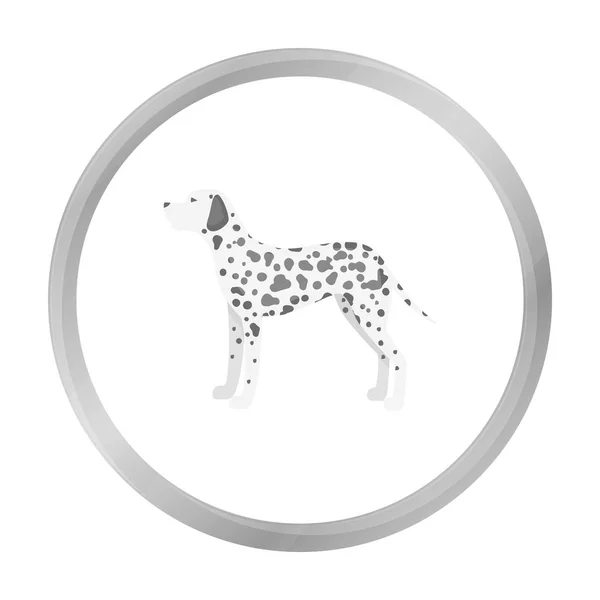 Dalmatinisches Vektorsymbol im monochromen Stil für das Web — Stockvektor