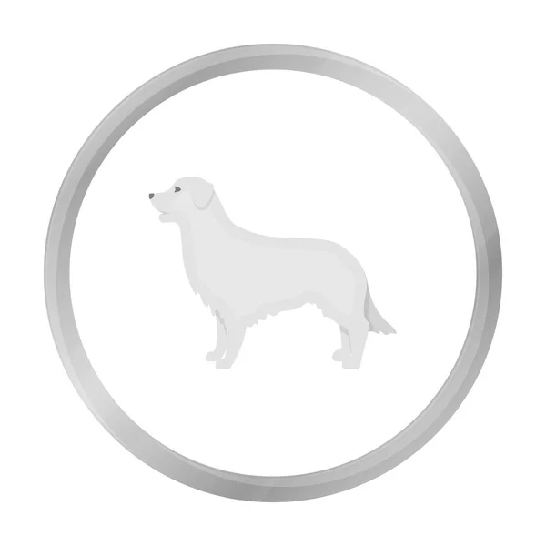 Retriever-Vektorsymbol im monochromen Stil für das Web — Stockvektor