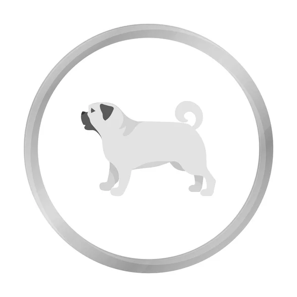 Icona vettoriale Pug in stile monocromatico per il web — Vettoriale Stock