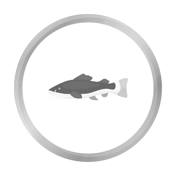 Phractocephalus hemioliopterus vis pictogram zwart-wit. Aquarium vissen icoon uit de zee, oceaan leven monochroom singe. — Stockvector