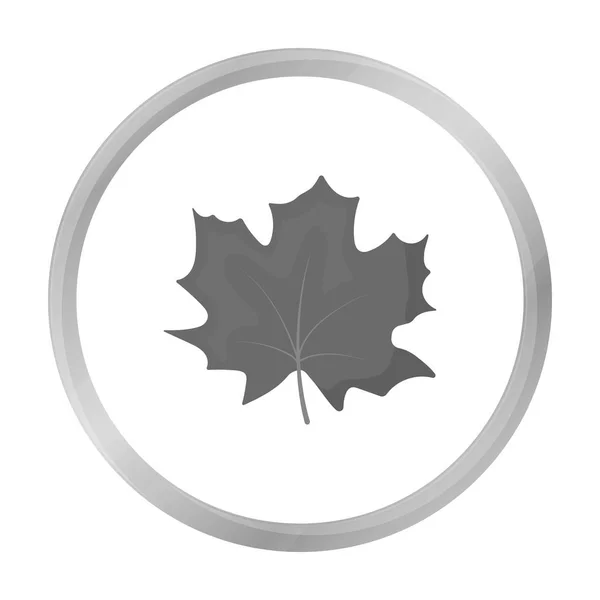 Maple Leaf wektor ikona w monochromatycznym stylu dla sieci web — Wektor stockowy