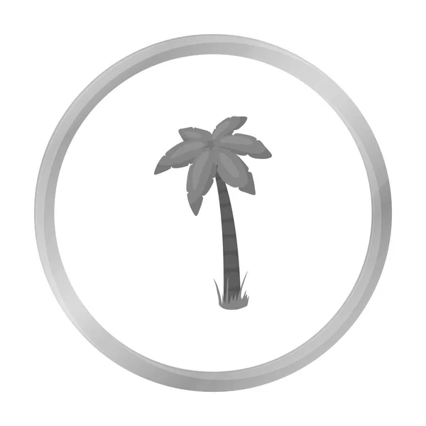 Palmvektorsymbol im monochromen Stil für das Web — Stockvektor