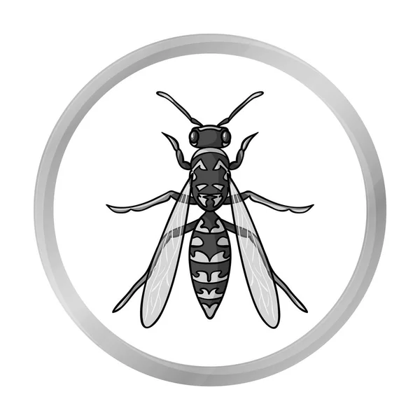 Icône de guêpe en style monochrome isolé sur fond blanc. Illustration vectorielle du symbole d'insectes . — Image vectorielle