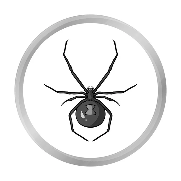 Zwarte weduwe spin pictogram in zwart-wit stijl geïsoleerd op een witte achtergrond. Insecten symbool voorraad vectorillustratie. — Stockvector