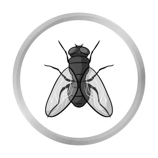 Icono de mosca en estilo monocromo aislado sobre fondo blanco. Ilustración de vector de stock de símbolos de insectos . — Vector de stock