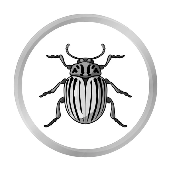 Colorado beetle icon in monochrome style isolated on white background. Insects symbol stock vector illustration. — Stock Vector