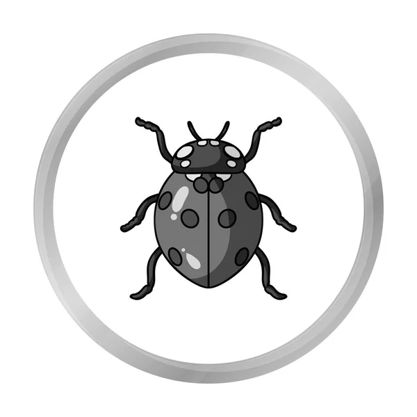 Ikon Ladybug dalam gaya monokrom diisolasi pada latar belakang putih. Ilustrasi stok simbol serangga . - Stok Vektor