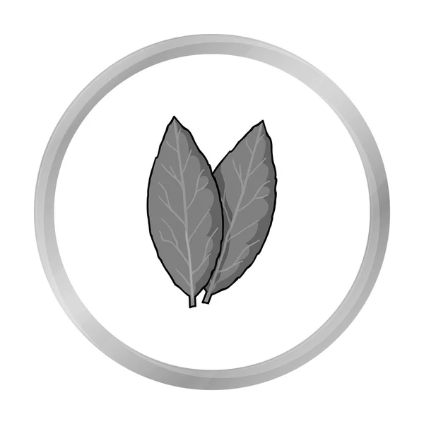 Icône Laurus en style monochrome isolé sur fond blanc. Herbe un symbole épices illustration vectorielle de stock . — Image vectorielle