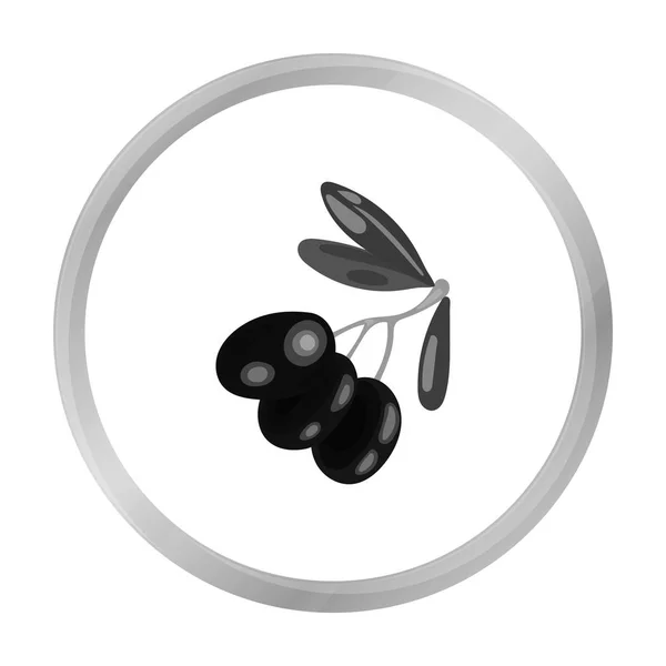 Svarta oliver på ikonen gren i svartvit stil isolerad på vit bakgrund. Grekland symbol lager vektorillustration. — Stock vektor