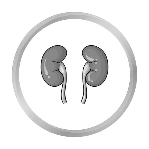 Icono de riñones humanos en estilo monocromo aislado sobre fondo blanco. Organos humanos símbolo stock vector ilustración . — Vector de stock