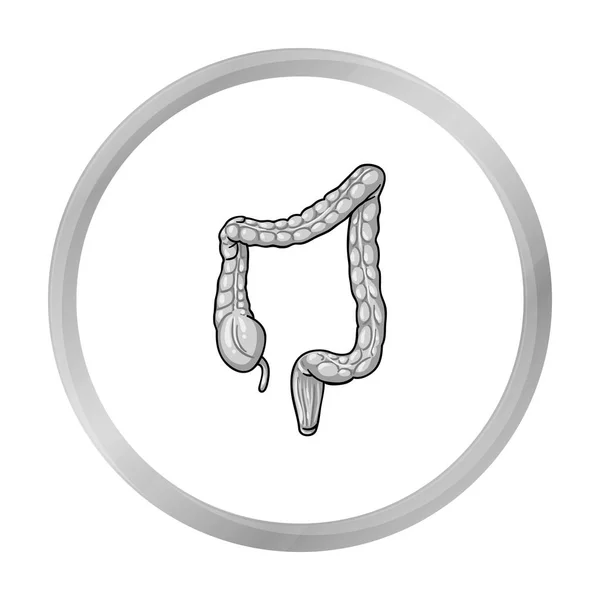 Ícone de intestino grosso humano em estilo monocromático isolado em fundo branco. Órgãos humanos símbolo estoque vetor ilustração . — Vetor de Stock