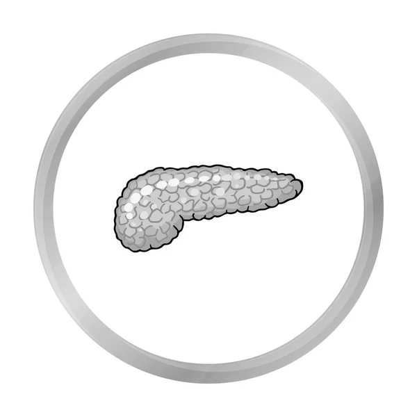 Icono del páncreas humano en estilo monocromo aislado sobre fondo blanco. Organos humanos símbolo stock vector ilustración . — Archivo Imágenes Vectoriales