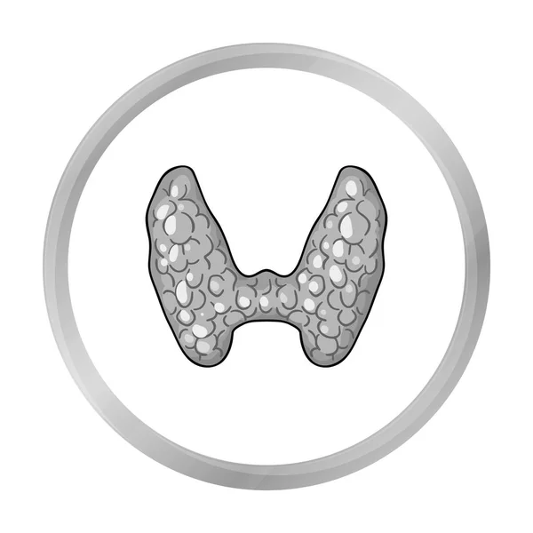 Icono tiroideo humano en estilo monocromo aislado sobre fondo blanco. Organos humanos símbolo stock vector ilustración . — Vector de stock