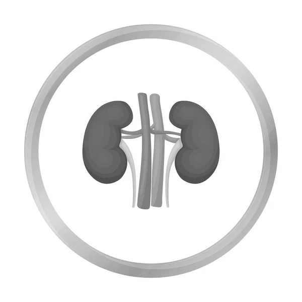 Icono de riñón en estilo monocromo aislado sobre fondo blanco. Organos símbolo stock vector ilustración . — Vector de stock