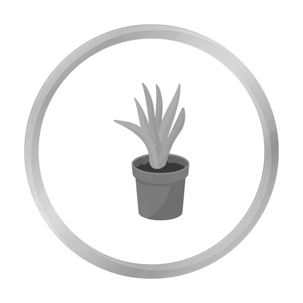 Office plant in th flowerpot icon in monochrome style isolated on white background. Office furniture and interior symbol stock vector illustration. — Stock Vector