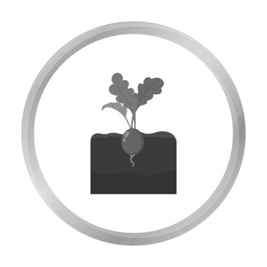 Turp simge tek renkli. Büyük çiftlik, Bahçe, tarım tek renk simgesinden tek bitki.