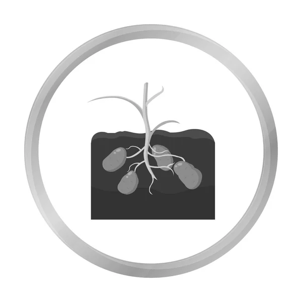 Icono de papa monocromo. Icono de una sola planta de la gran granja, jardín, agricultura monocromo . — Archivo Imágenes Vectoriales