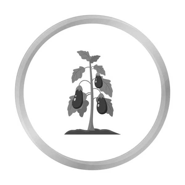 Aubergine-ikonen svartvitt. Enda anläggning ikonen från den stora gård, trädgård, jordbruk monokromt. — Stock vektor
