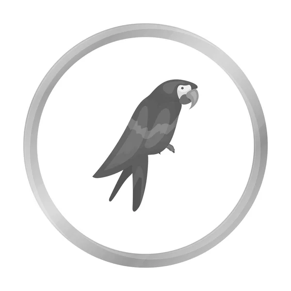 Piráti papoušek ikonu v monochromatickém stylu izolovaných na bílém pozadí. Piráti symbol akcií vektorové ilustrace. — Stockový vektor
