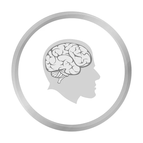 Brain icon monochrome. Single education icon from the big school, university monochrome. — Stock Vector