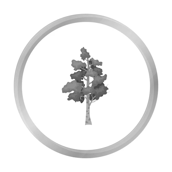 Icono de árbol de abedul en estilo monocromo aislado sobre fondo blanco. Rusia país símbolo stock vector ilustración . — Vector de stock
