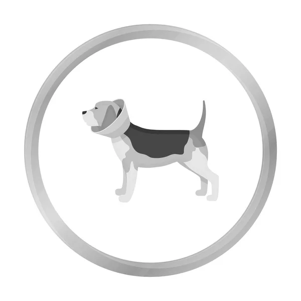 Hund mit elizabethanischem Halsband-Symbol im monochromen Stil isoliert auf weißem Hintergrund. Tierklinik Symbol Aktienvektor Illustration. — Stockvektor