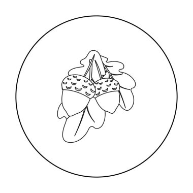 Anahat stili beyaz arka plan üzerinde izole meşe palamutları simgesini. Kanadalı Şükran günü sembol stok vektör çizim.