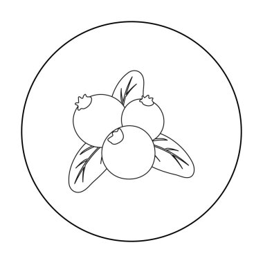 Kızılcık simgesi beyaz arka plan üzerinde izole anahat tarzı. Kanadalı Şükran günü sembol stok vektör çizim.