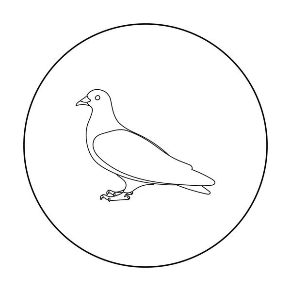 Taubensymbol im Umrissstil isoliert auf weißem Hintergrund. Vogel Symbol Aktienvektor Illustration. — Stockvektor