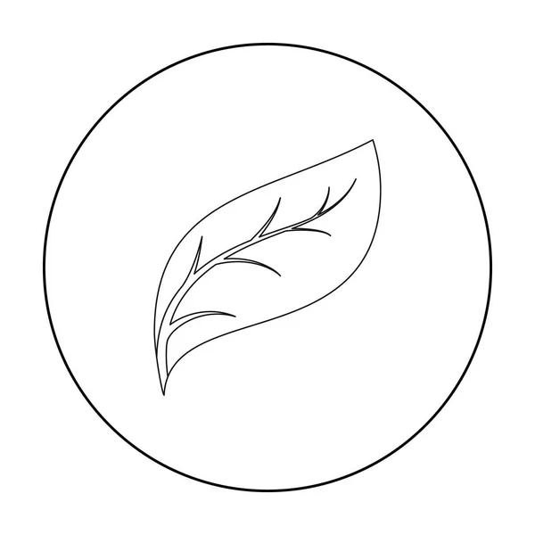 Öko-Blatt-Symbol im Umrissstil isoliert auf weißem Hintergrund. Bio- und Ökologie-Symbol Aktienvektor-Illustration. — Stockvektor