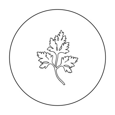 Maydanoz simgesi beyaz arka plan üzerinde izole anahat tarzı. Herb bir baharat sembol stok vektör çizim.