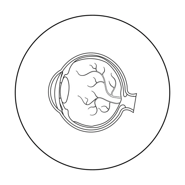Ögonglob ikon i dispositionsformat isolerad på vit bakgrund. Organ symbol lager vektorillustration. — Stock vektor