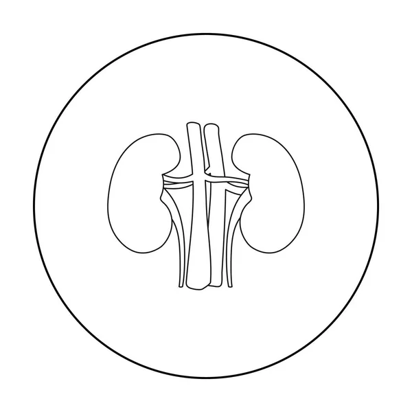 Njure-ikonen i dispositionsformat isolerad på vit bakgrund. Organ symbol lager vektorillustration. — Stock vektor