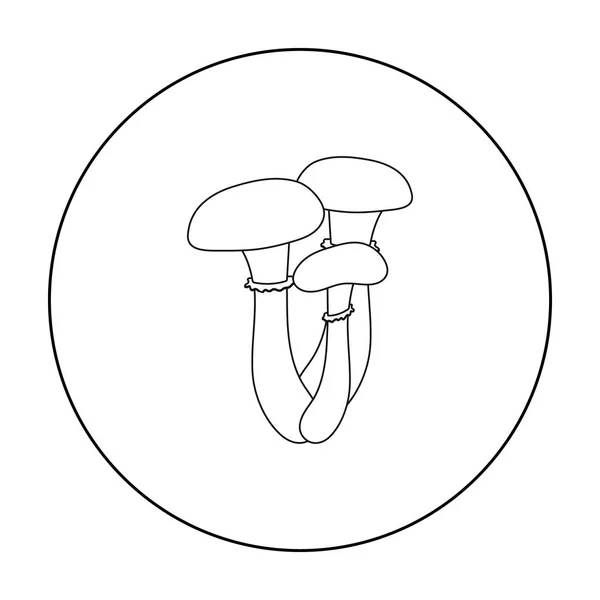 Ícone de mel agárico em estilo esboço isolado no fundo branco. Cogumelo símbolo estoque vetor ilustração . —  Vetores de Stock