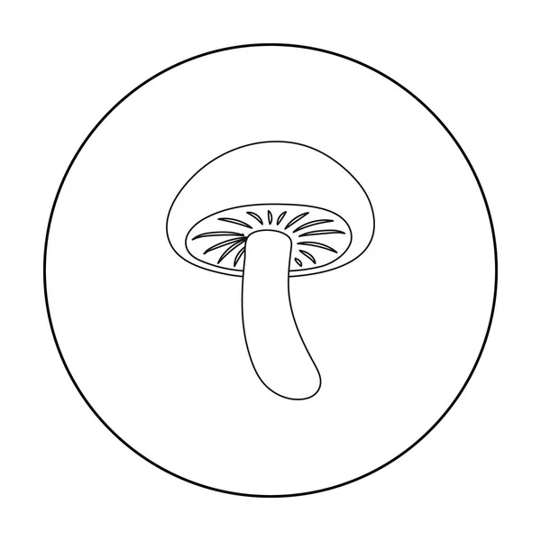 Иконка Shiitake в стиле контура выделена на белом фоне. Векторная иллюстрация грибных символов . — стоковый вектор