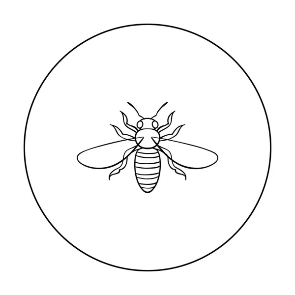 Icono de abeja en estilo de contorno aislado sobre fondo blanco. Ilustración de vector de stock de símbolos de insectos . — Vector de stock
