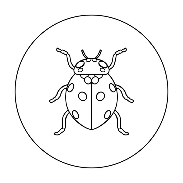 Icono de mariquita en estilo de contorno aislado sobre fondo blanco. Ilustración de vector de stock de símbolos de insectos . — Vector de stock