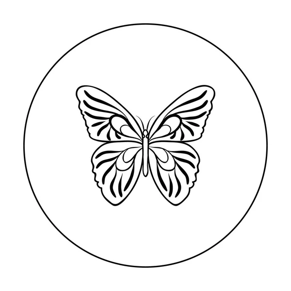 Icône papillon en style contour isolé sur fond blanc. Illustration vectorielle du symbole d'insectes . — Image vectorielle