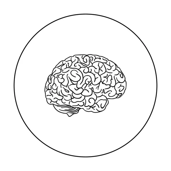 Mänskliga hjärnan ikonen i dispositionsformat isolerad på vit bakgrund. Mänskliga organ symbol lager vektorillustration. — Stock vektor