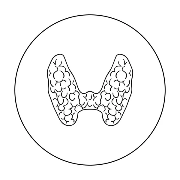 Mänsklig sköldkörteln ikonen i dispositionsformat isolerad på vit bakgrund. Mänskliga organ symbol lager vektorillustration. — Stock vektor